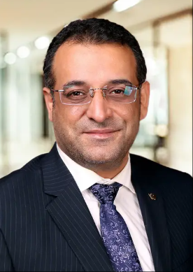 Hamed Taherdoost.png