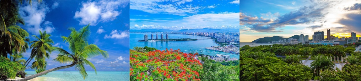 11月海口-DSInS-2025-艾思平台_副本.jpg