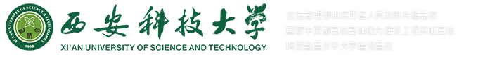 logo 7.png