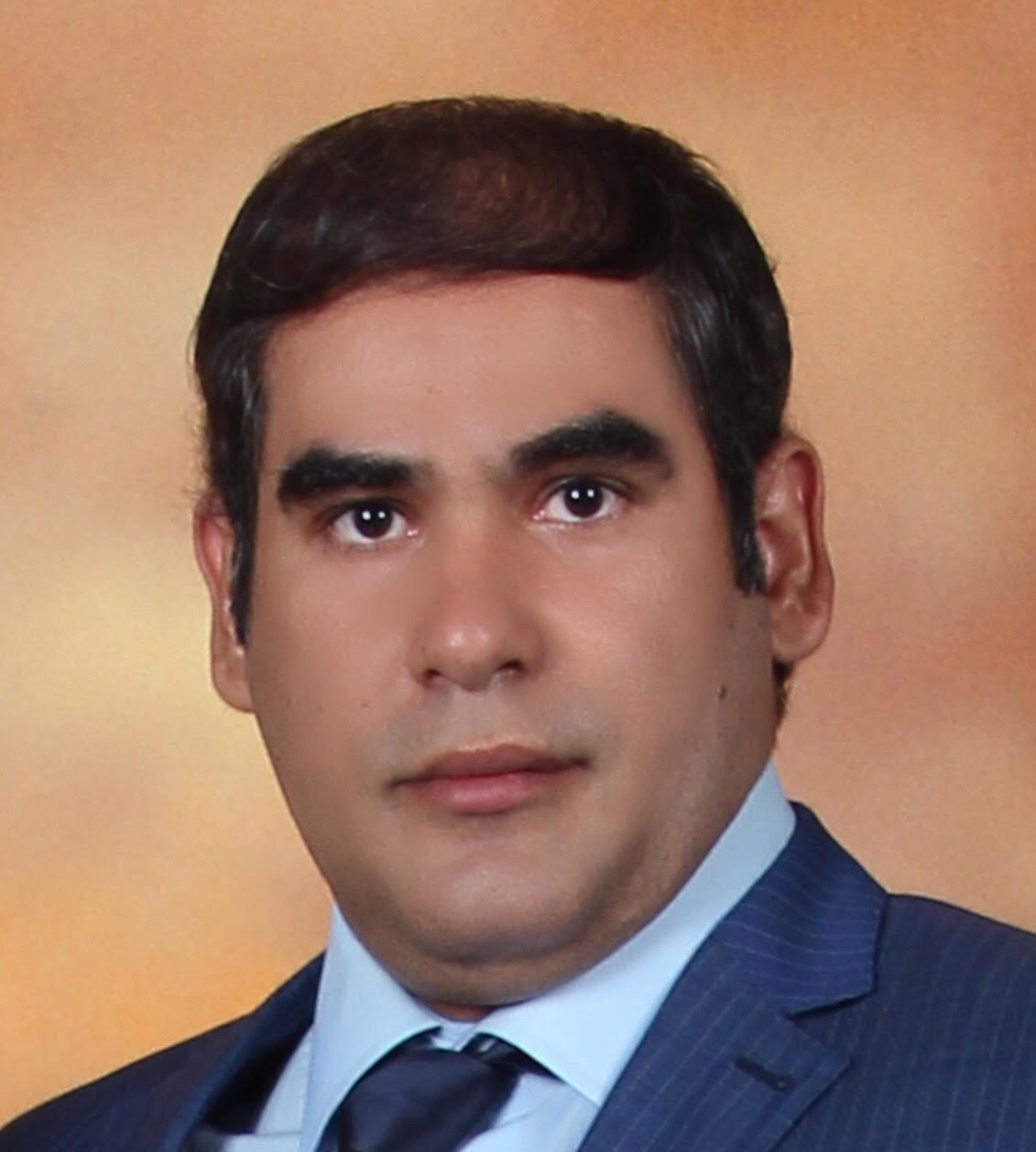 Assoc. Prof. Dr. Amin Beiranvand Pour.jpg