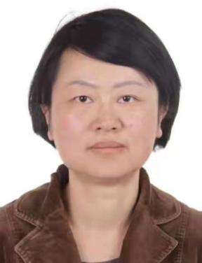 孙瑜.png