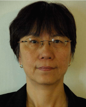 大会主席-Xuefang LIN-SHI, Electrical Engineering Department, INSA LYON, France.gif