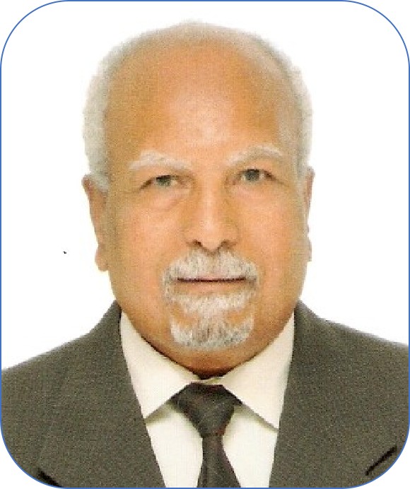 Omar Hanafy Abdalla-2.jpg