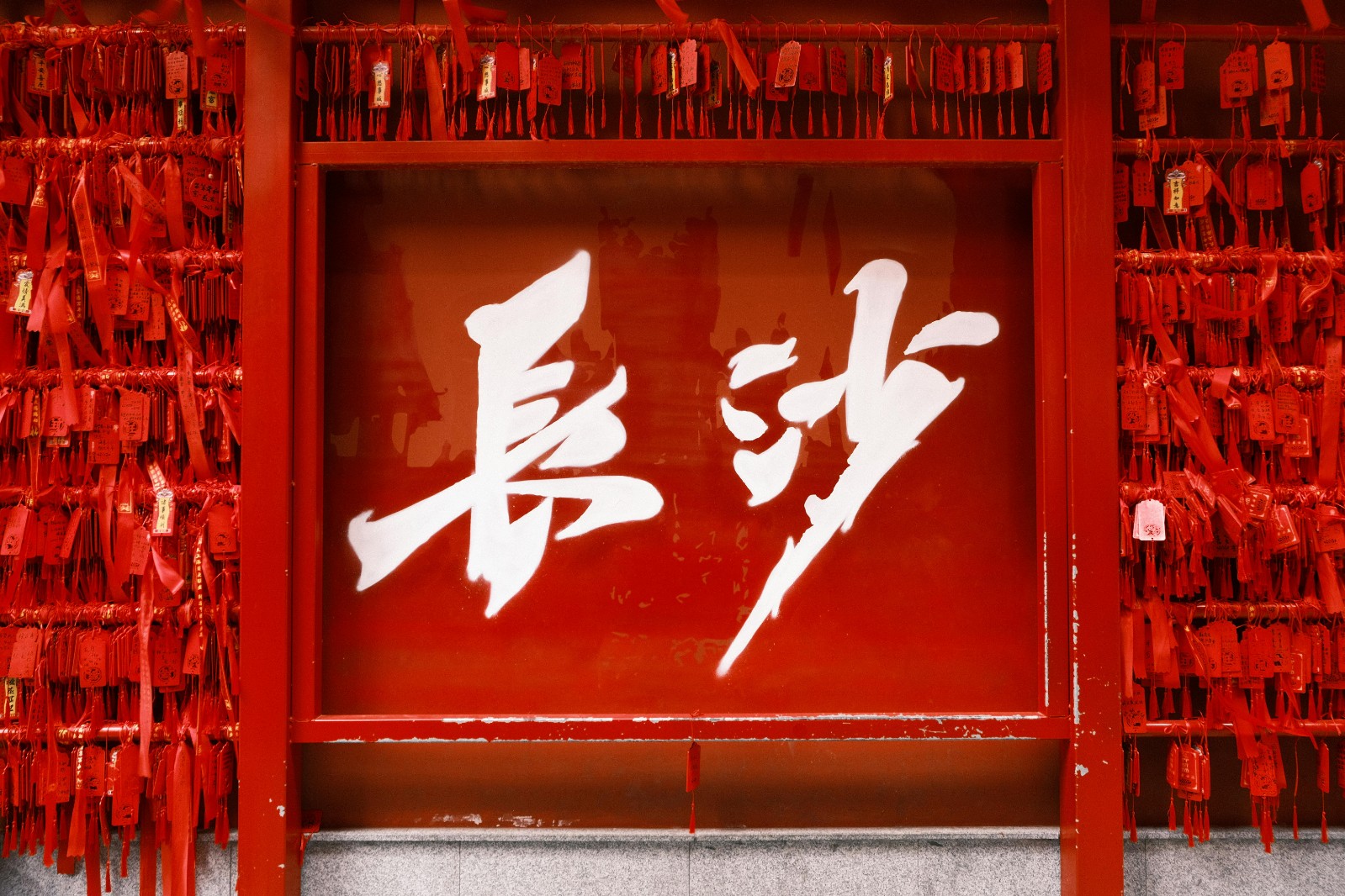pexels-yifan-lai-1434608-19364401.jpg