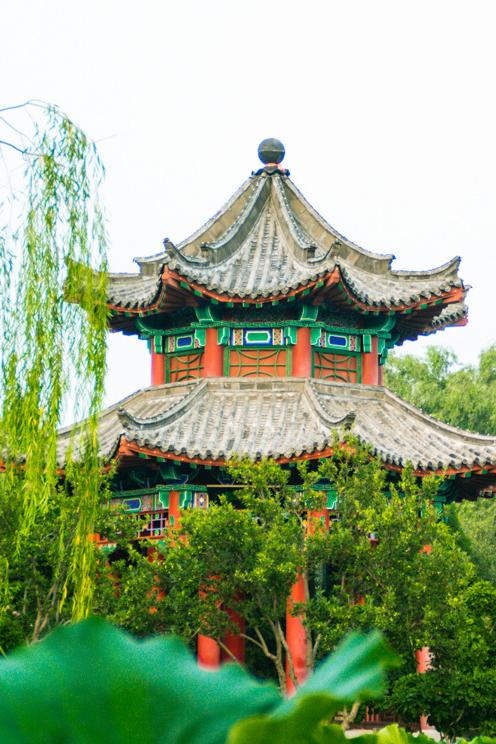 大明湖(1).jpg