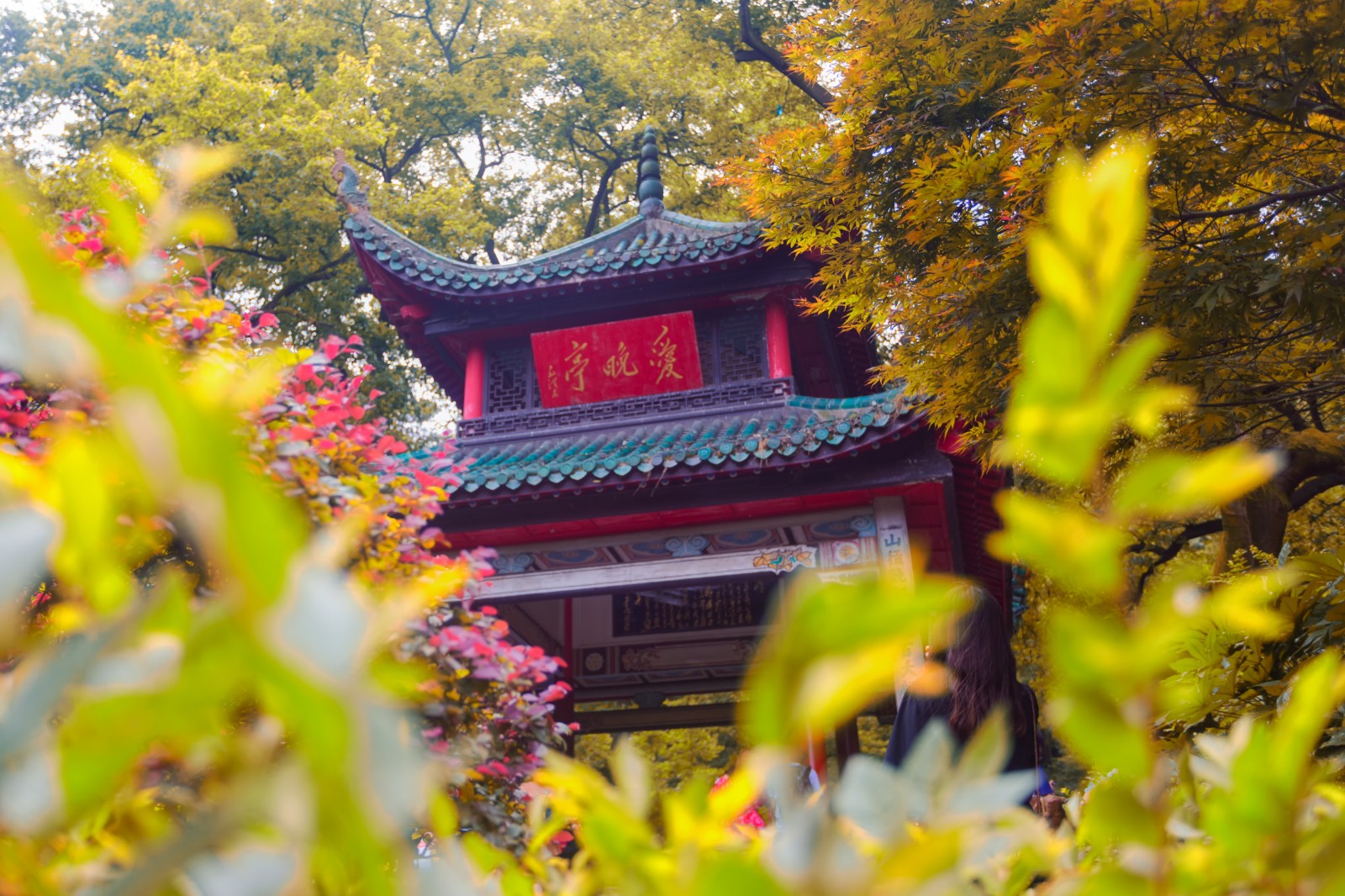摄图网_500964936_湖南长沙岳麓山上爱晚亭（企业商用）.jpg