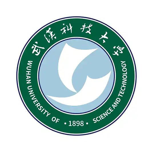 武汉科技大学.png