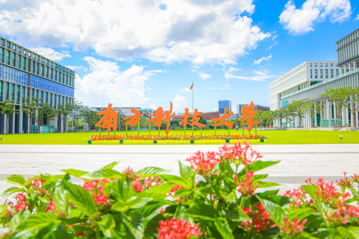 南科大学校图.jpg