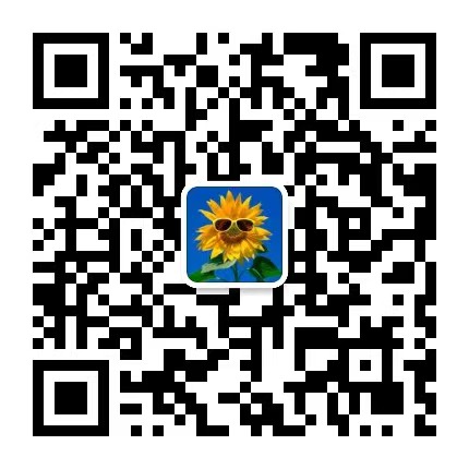 305260113093706252.jpg