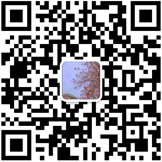 冠桦二维码.png