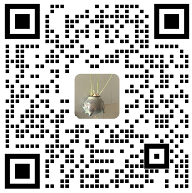 b147c673dcbfff1bb0c467fedcf6e10c.png