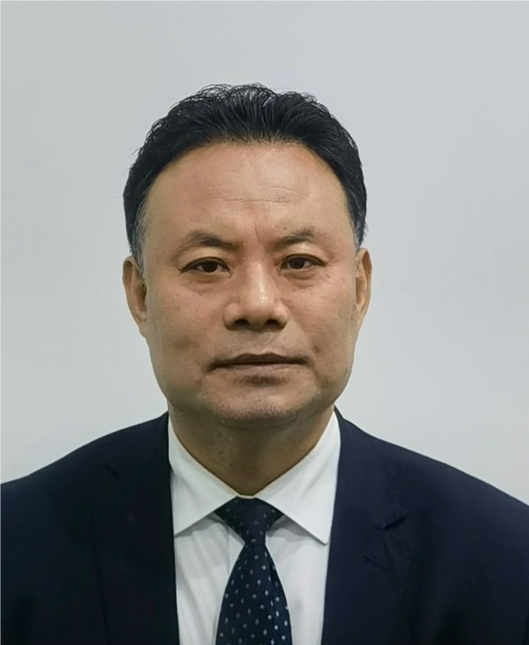 王圣研究员级高级工程师，国家能源集团科学技术研究院，中国.png