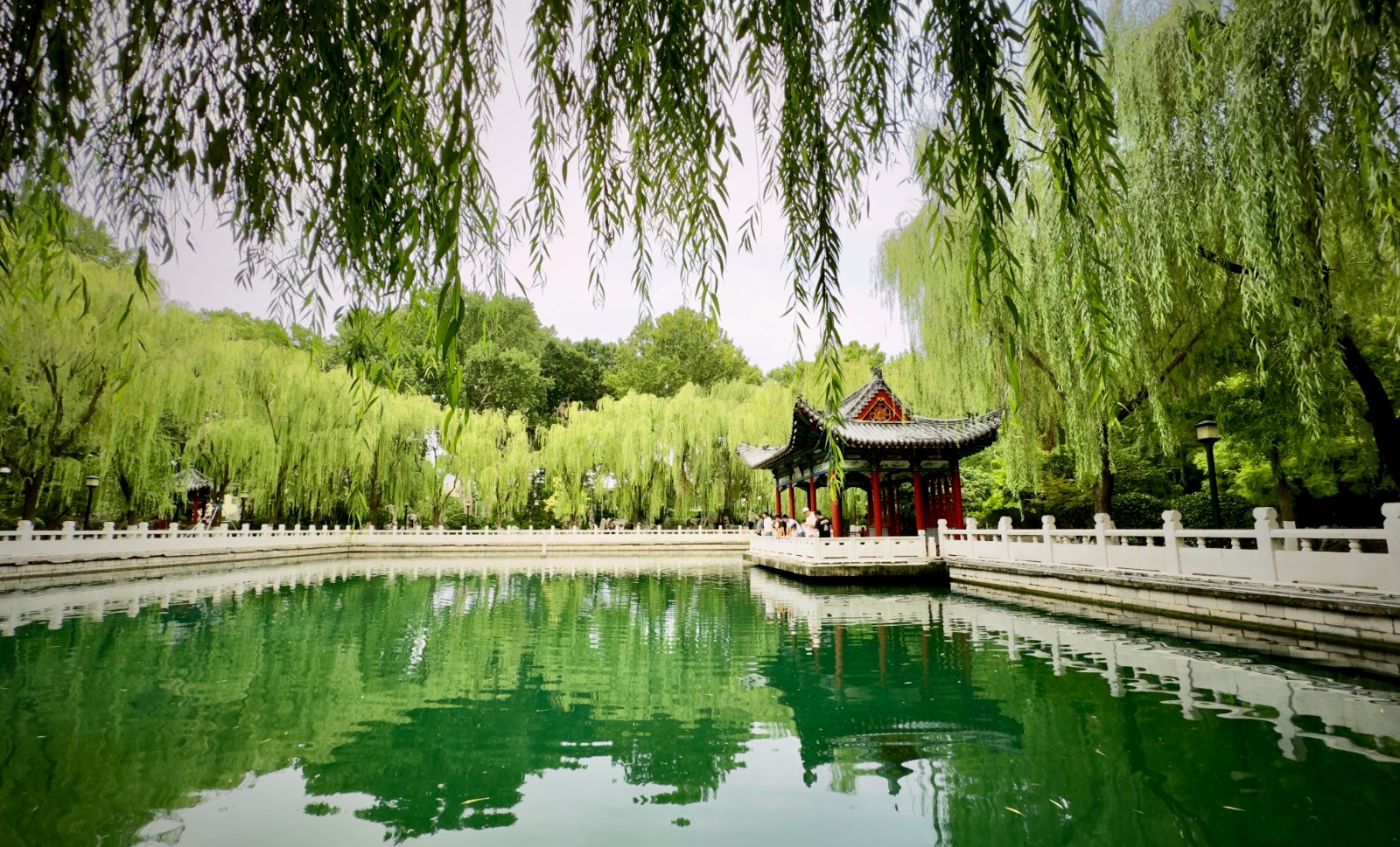 xu-ge-_oXVcpFlIo8-unsplash.jpg